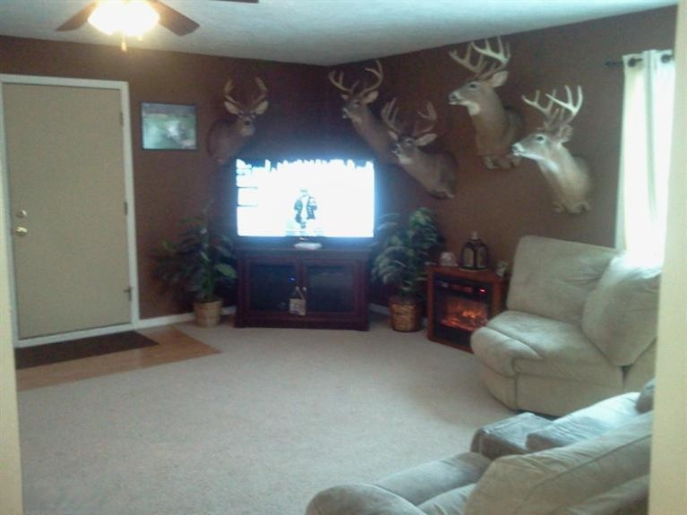 1445 West Charles Road Ionia, MI 48846 - Photo 5 of 22 Additional Photo