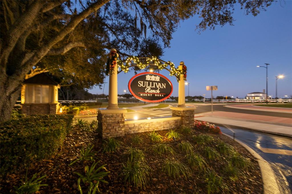 30118 Cheval Street Mount Dora, FL 32757 - Photo 36 of 52 a view of a water fountain with an outdoor space