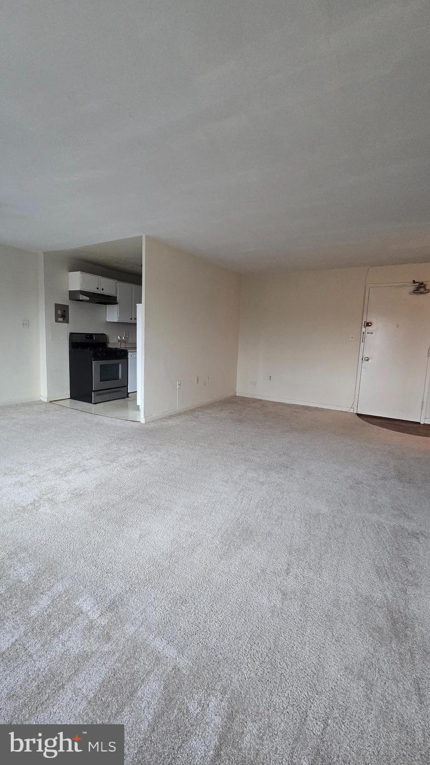 1200 South Arlington Ridge Road, Unit 403 Arlington, VA 22202 - Photo 2 of 23 a view of an empty room with a fireplace