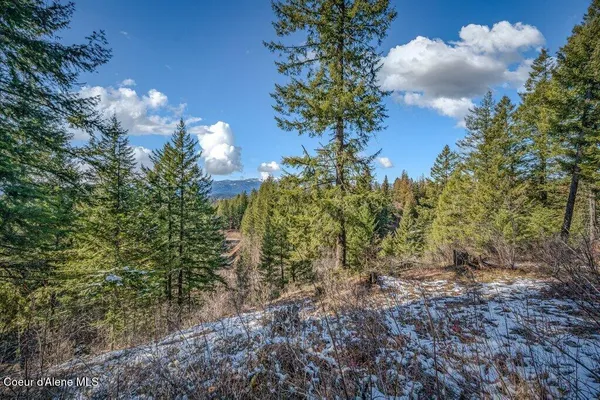$299,000 | Nna South Idaho Club Drive, Sandpoint, ID 83864