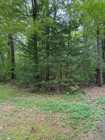 a view of outdoor space and green space