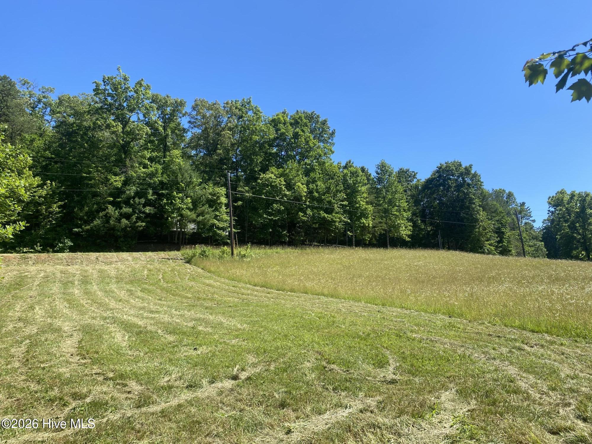 Lot 7 Running Bear Road Murphy, NC 28906 - Photo 6 of 14