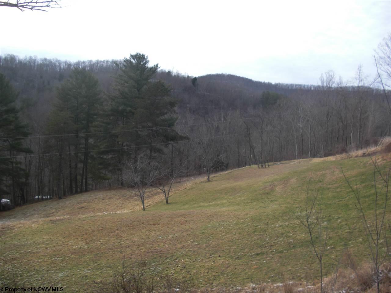 24 Big Run Road Napier, WV 26631 - Photo 2 of 20 Gallery Image 2