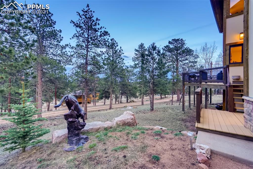 229 Mohawk Trail Pine, CO 80470 - Photo 15 of 40