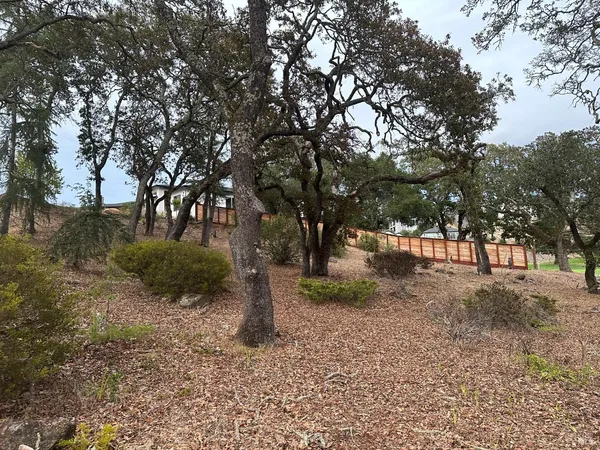 a view of outdoor space with trees
