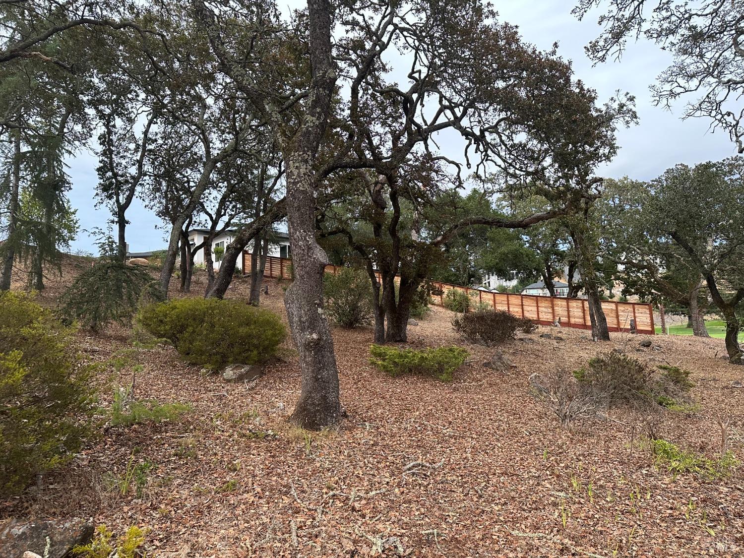 3703 Llyn Glaslyn Place Santa Rosa, CA 95403 - Photo 11 of 29 a view of outdoor space with trees