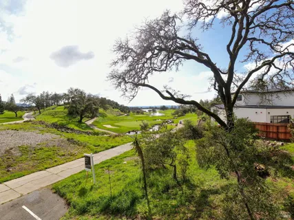 a view of a yard with an trees