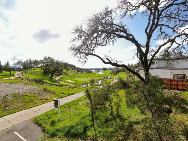a view of a yard with an trees