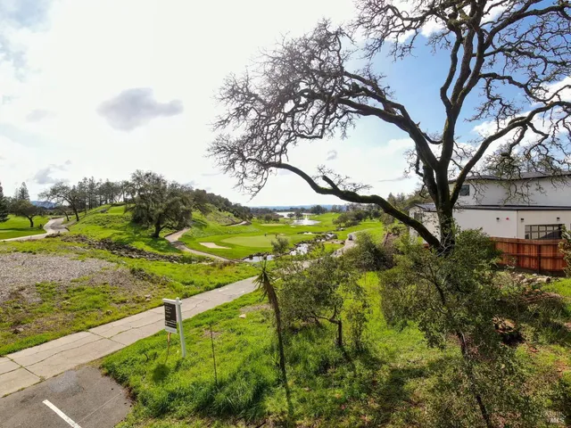 a view of a yard with an trees