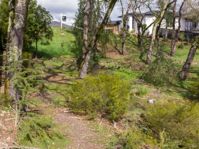 a view of a yard with plants