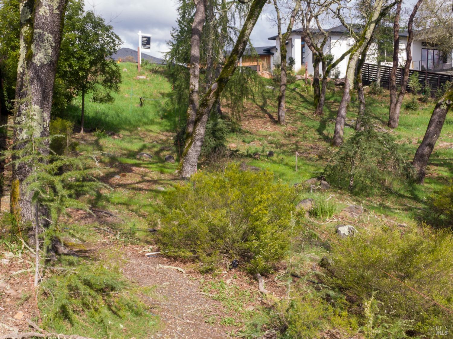 3703 Llyn Glaslyn Place Santa Rosa, CA 95403 - Photo 16 of 29 a view of a yard with plants