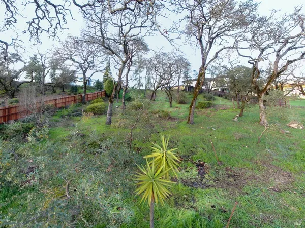 a view of yard with green space