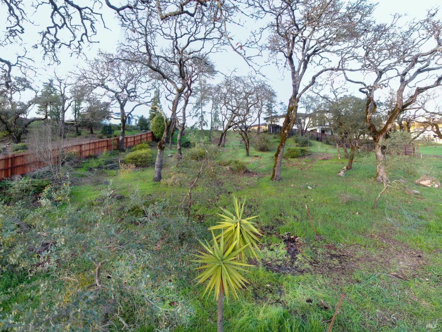 3703 Llyn Glaslyn Place Santa Rosa, CA 95403 - Photo 17 of 29 a view of yard with green space