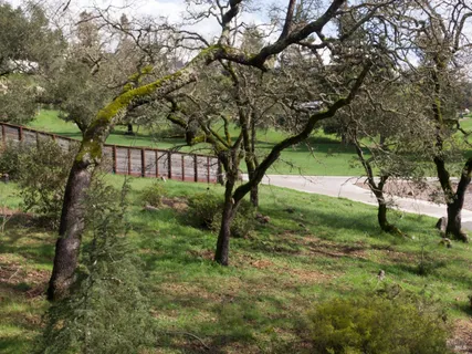 a view of backyard with green space