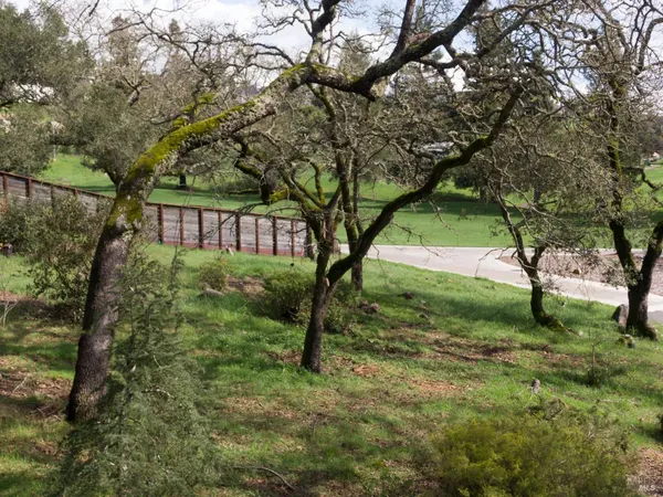 a view of backyard with green space