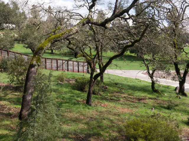 a view of backyard with green space