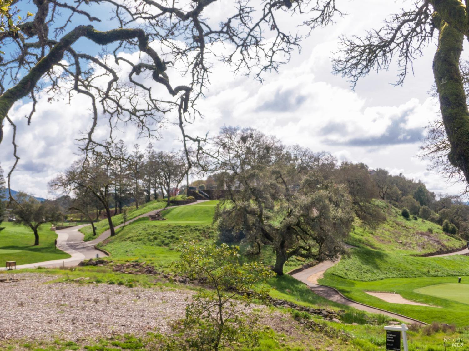 3703 Llyn Glaslyn Place Santa Rosa, CA 95403 - Photo 20 of 29 a view of a garden