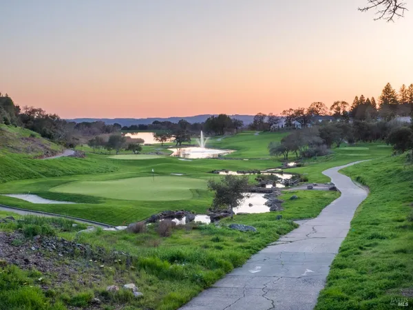a view of a grassy field with trees