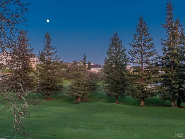 a backyard of a house with lots of green space