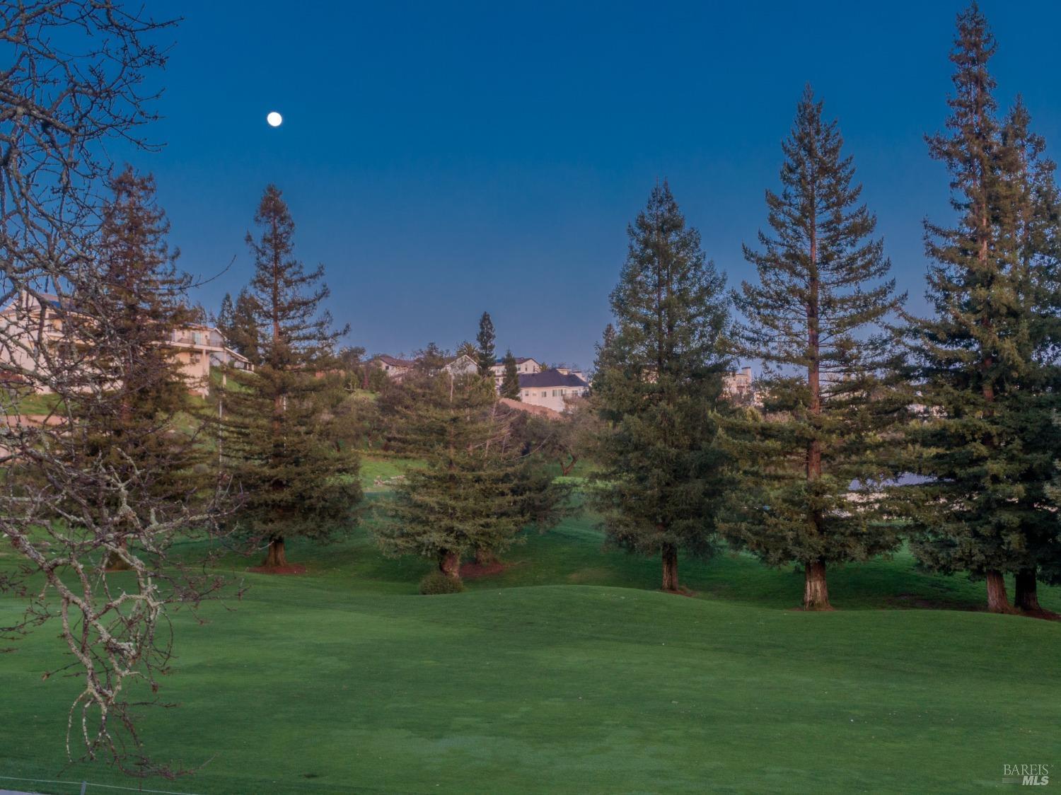 3703 Llyn Glaslyn Place Santa Rosa, CA 95403 - Photo 28 of 29 a backyard of a house with lots of green space