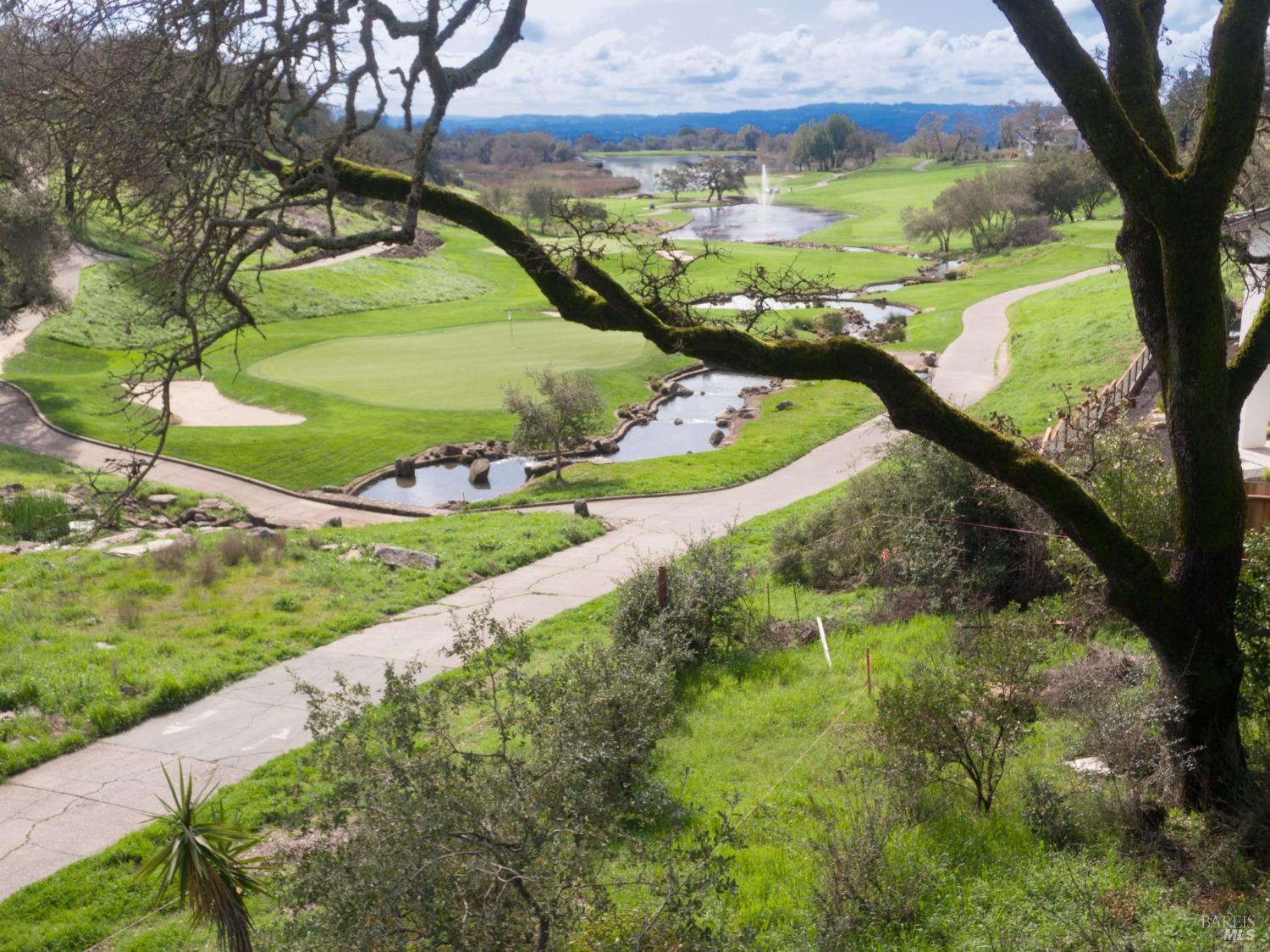 3703 Llyn Glaslyn Place Santa Rosa, CA 95403 - Photo 6 of 29 a view of a garden with an outdoor space