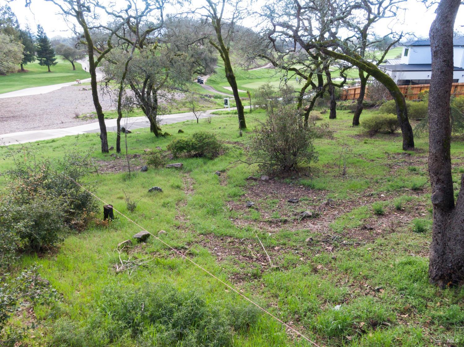 3703 Llyn Glaslyn Place Santa Rosa, CA 95403 - Photo 7 of 29 a view of backyard with green space