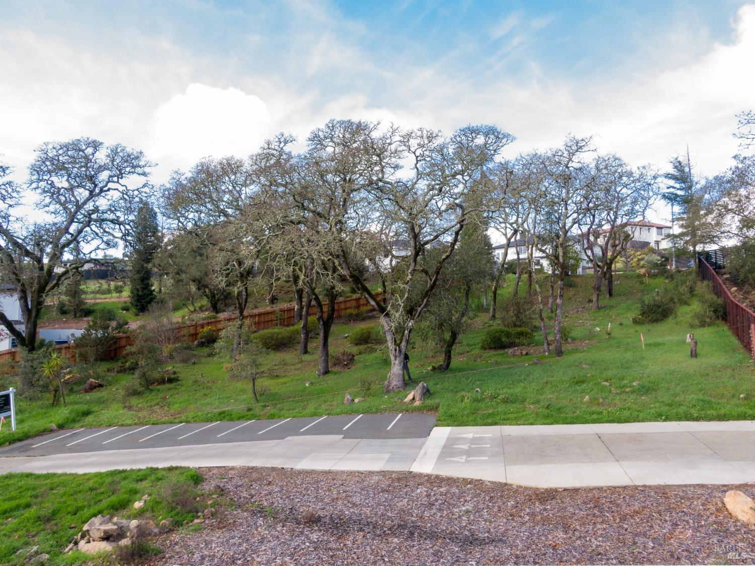 3703 Llyn Glaslyn Place Santa Rosa, CA 95403 - Photo 9 of 29 a view of a park with large trees