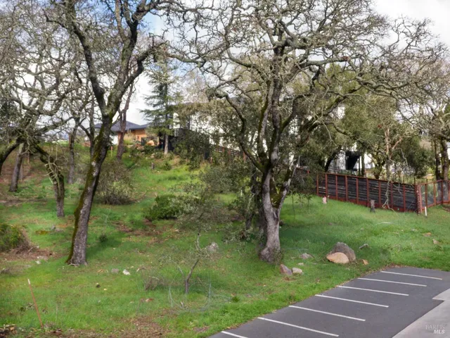 a view of a yard with a tree