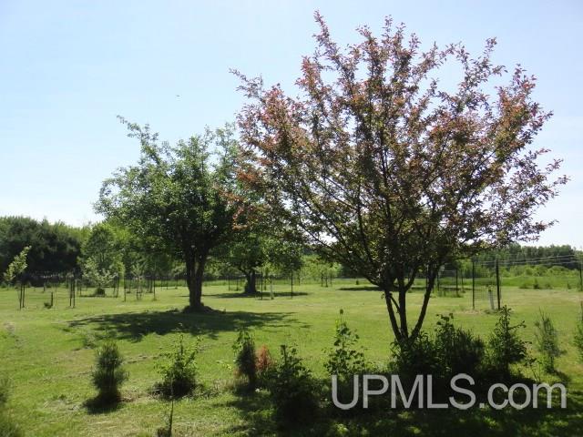 282 East Prairie Acres Road Crystal Falls, MI 49920 - Photo 33 of 36 Gallery Image 33