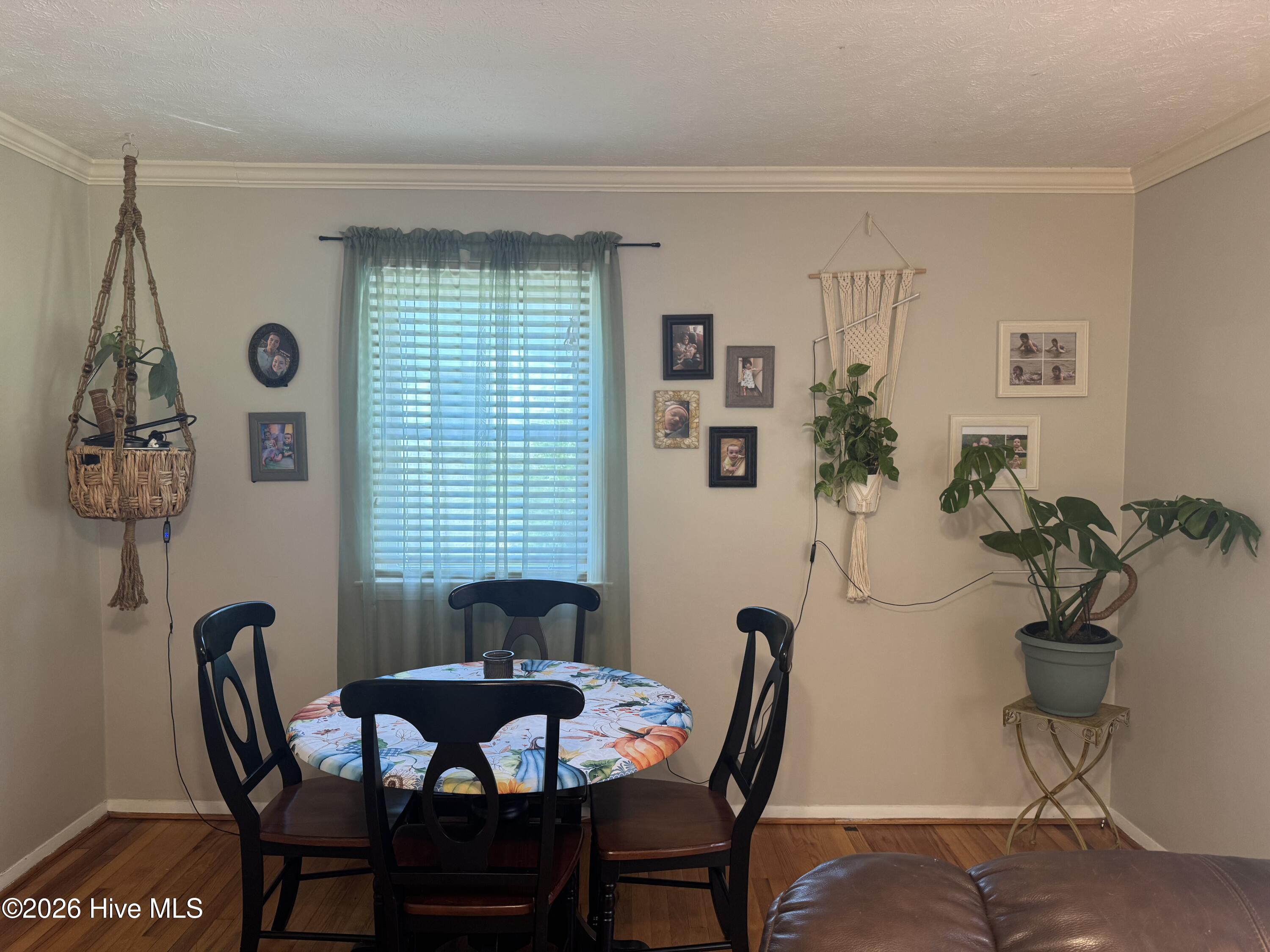 201 Shaw Road Hamlet, NC 28345 - Photo 4 of 21