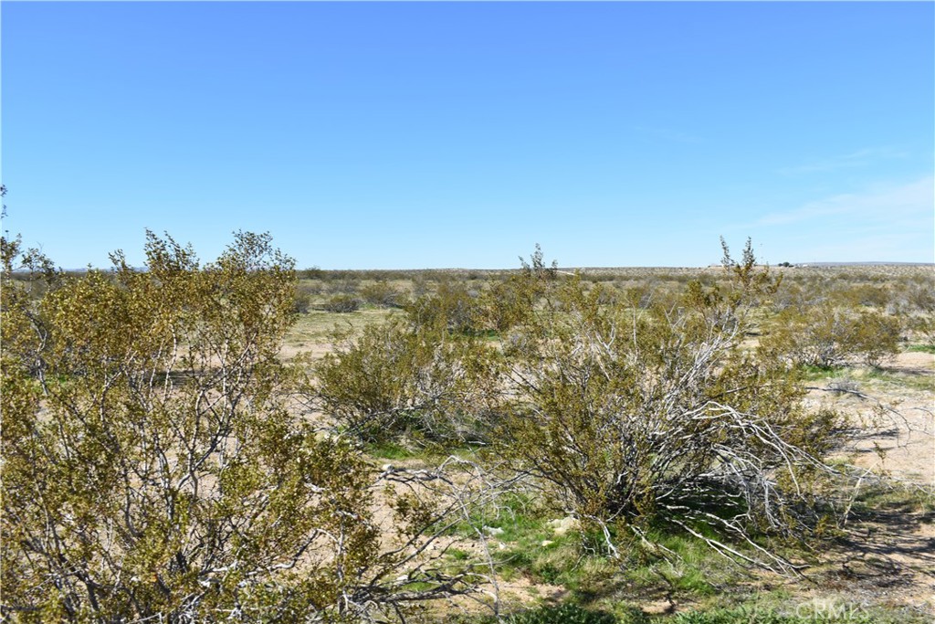 25 Frontier Road Helendale, CA 92342 - Photo 7 of 31 Gallery Image 7