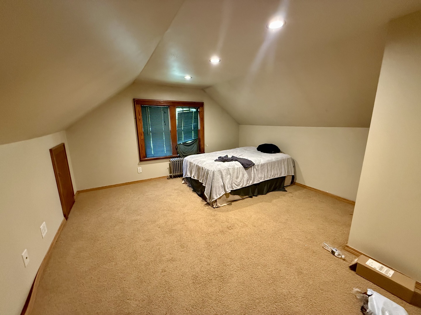 518 West St Paul Street Spring Valley, IL 61362 - Photo 9 of 14