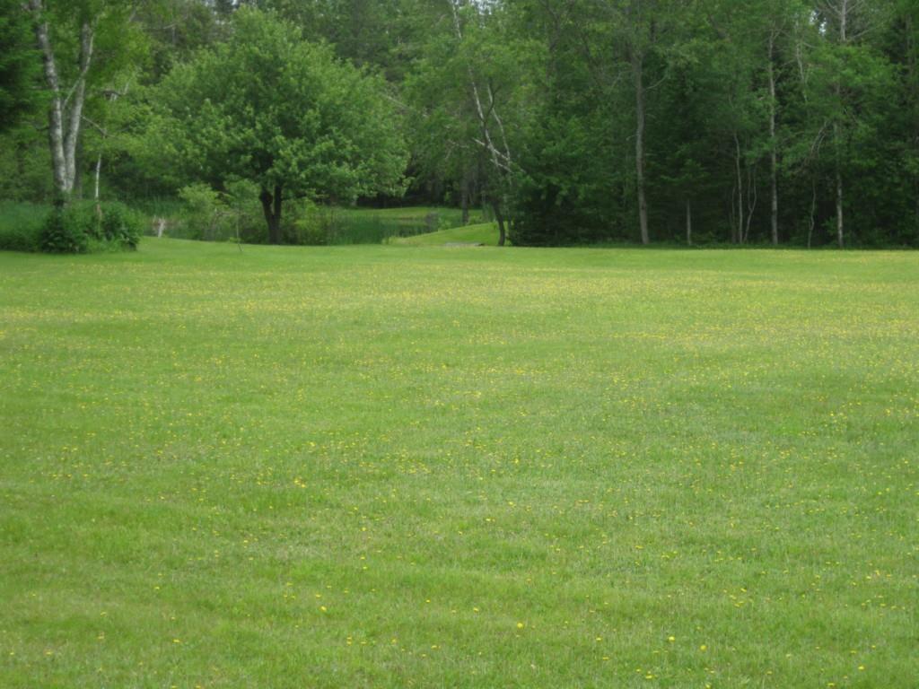 367 Etna Road Plymouth, ME 04969 - Photo 5 of 29 Photo