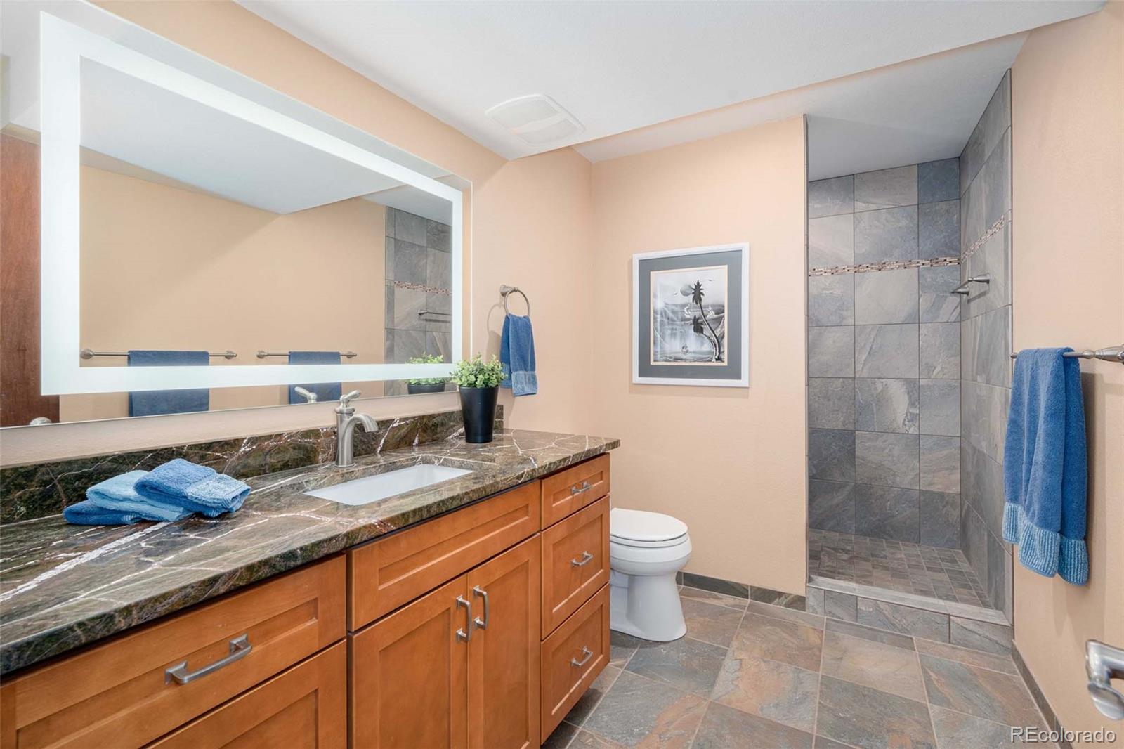 9560 Tomahawk Road Parker, CO 80138 - Photo 9 of 40 Gallery Image 9
