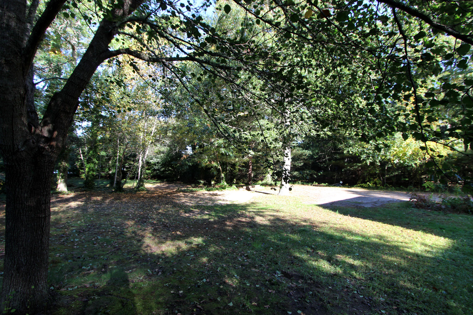 164 Tonset Road Orleans, MA 02653 - Photo 4 of 24 Back Yard