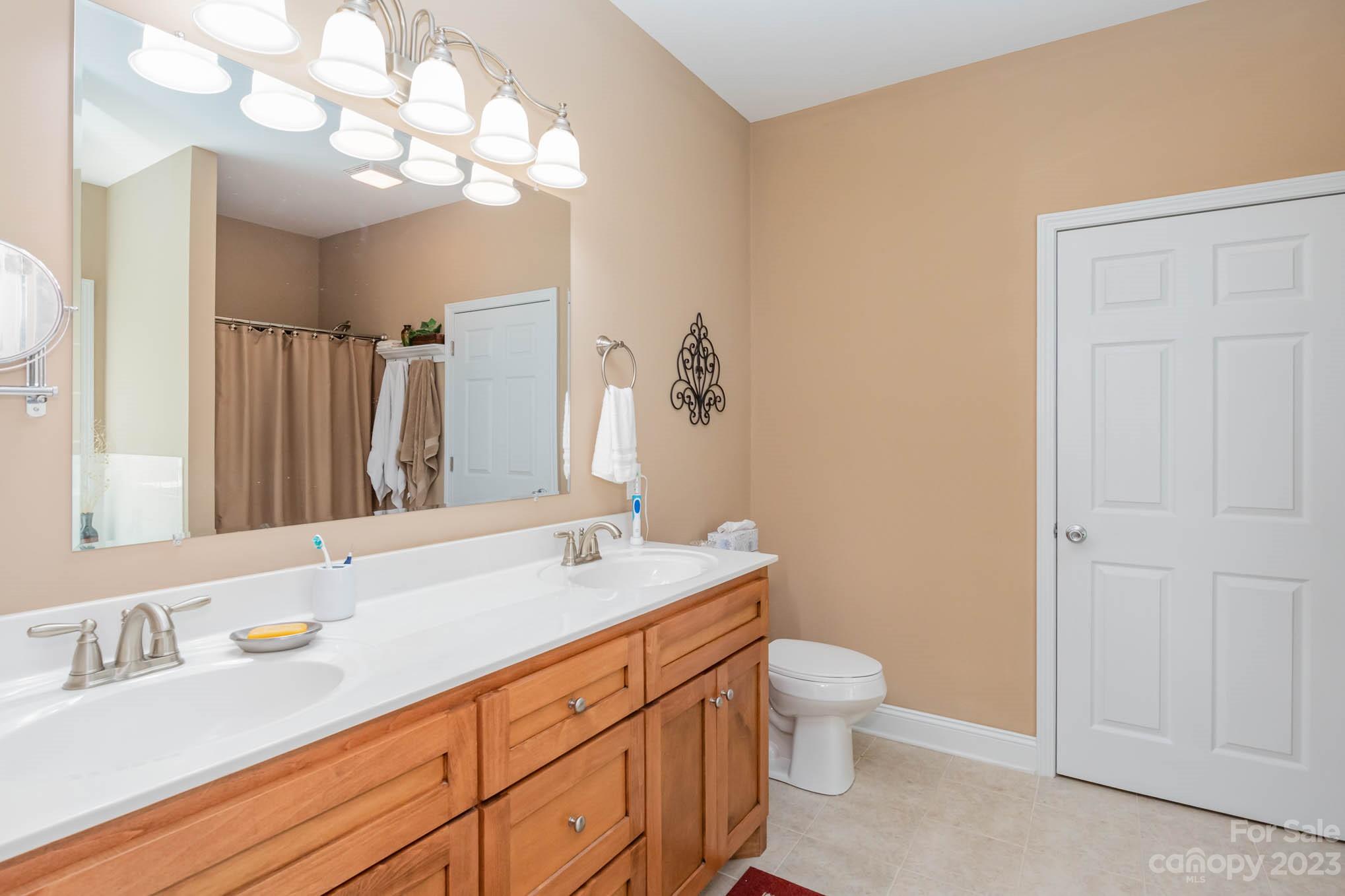 2255 South Paraham Road York, SC 29745 - Photo 17 of 33 a bathroom with a sink a toilet and a large mirror