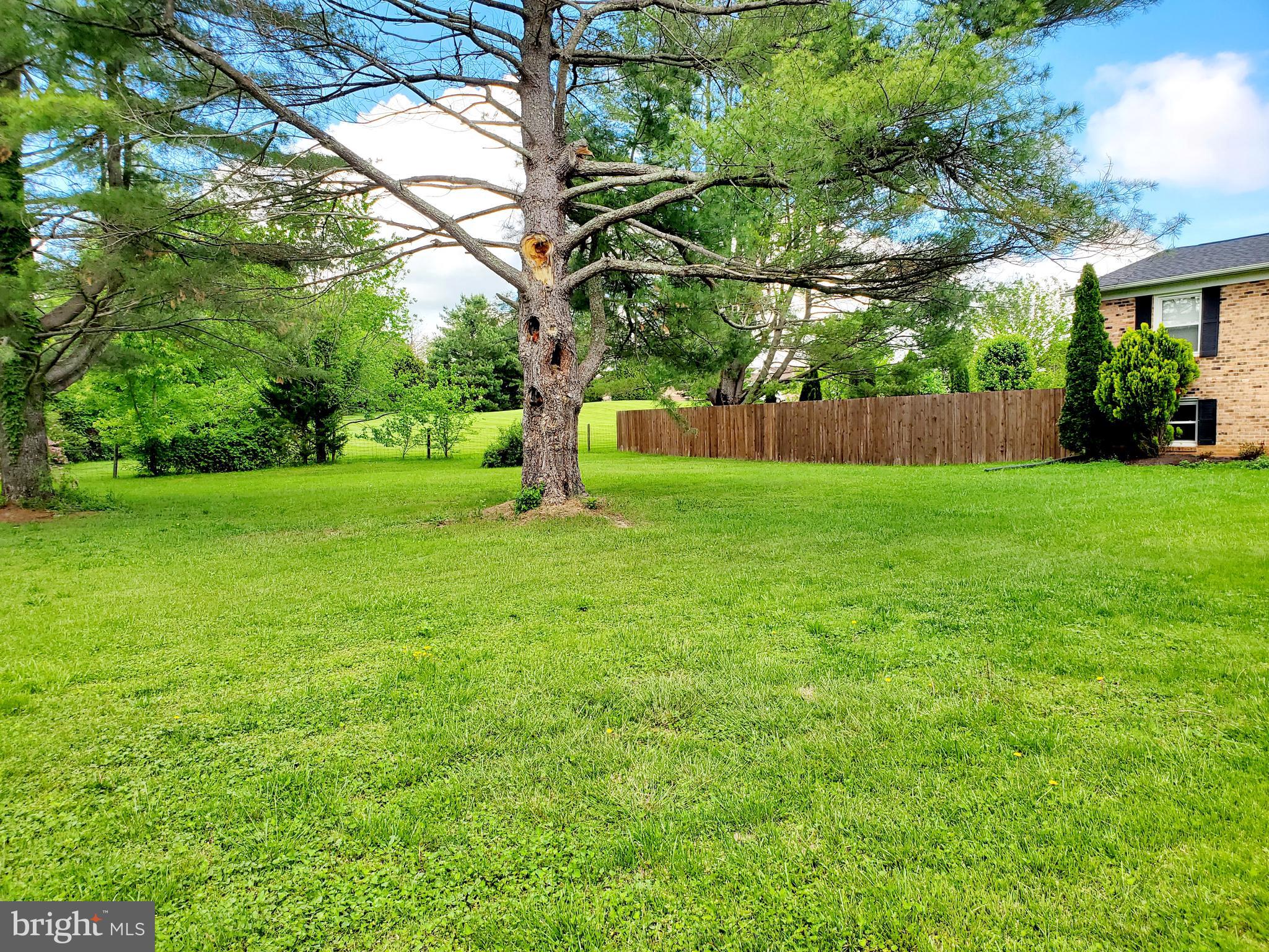 18141 South Merrimac Road Culpeper, VA 22701 - Photo 3 of 41 Gallery Image 3