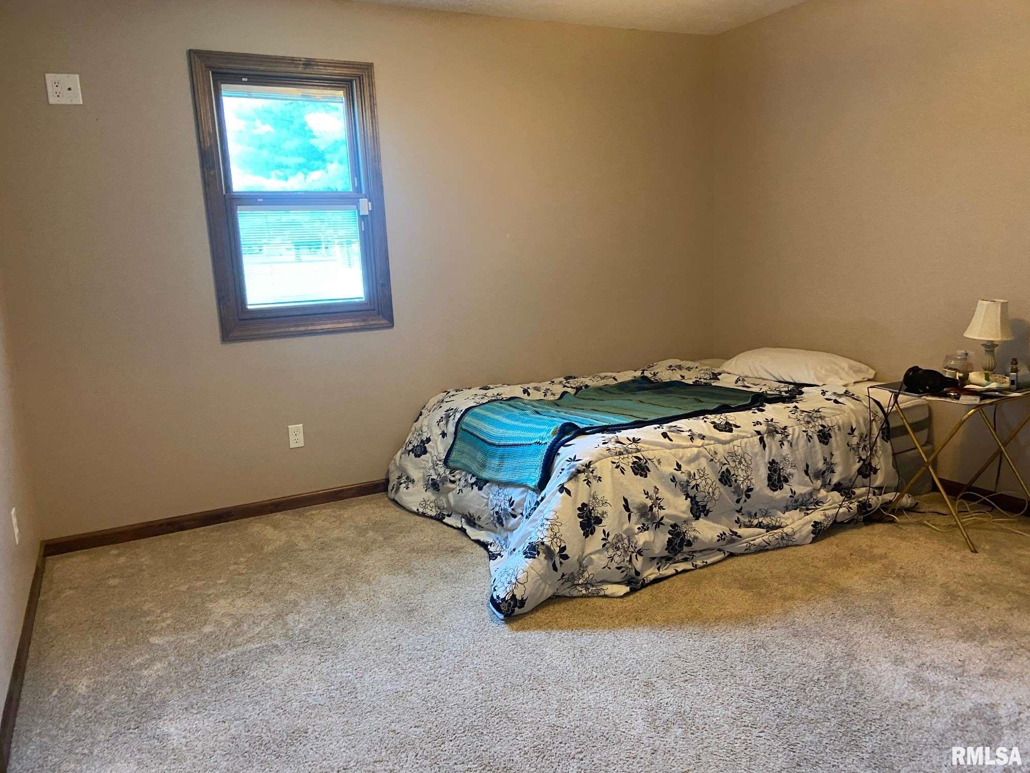 1142 Cardinal Road Carbondale, IL 62901 - Photo 15 of 27