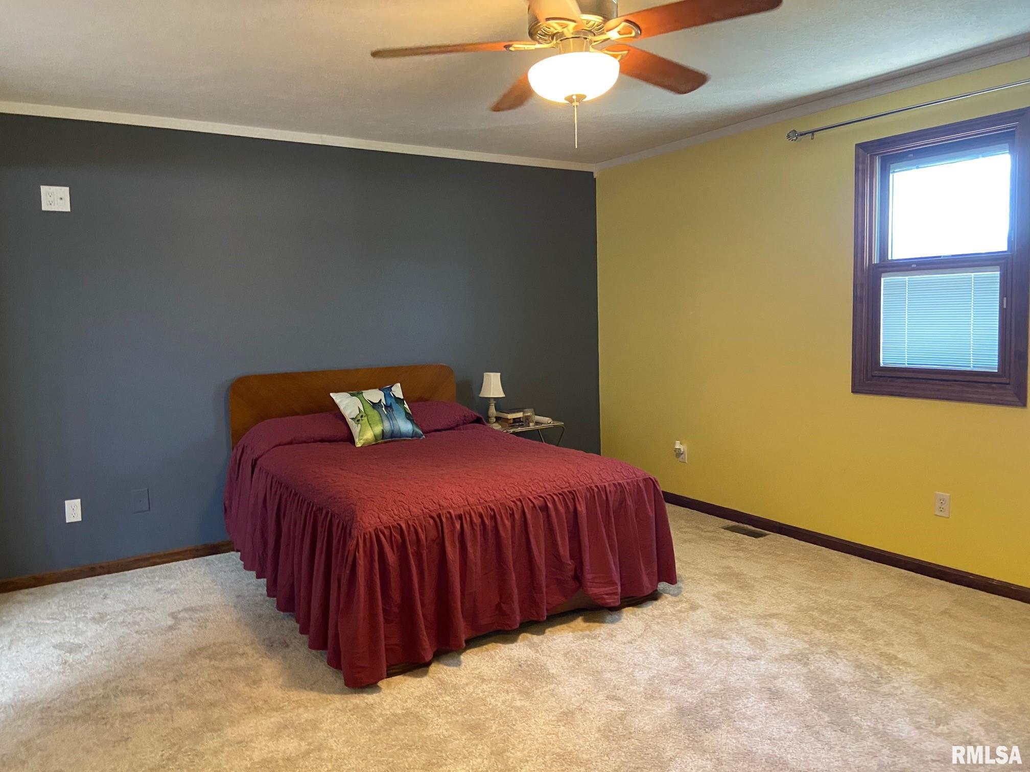 1142 Cardinal Road Carbondale, IL 62901 - Photo 10 of 27
