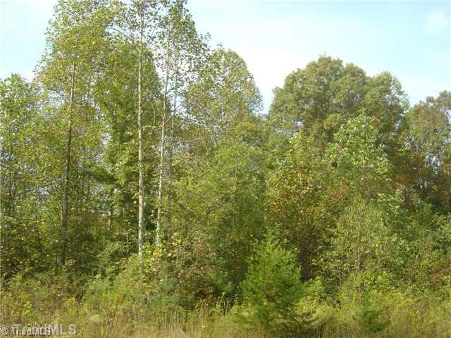 0 Joe Layne Mill Road Elkin, NC 28621 - Photo 2 of 5 Other.