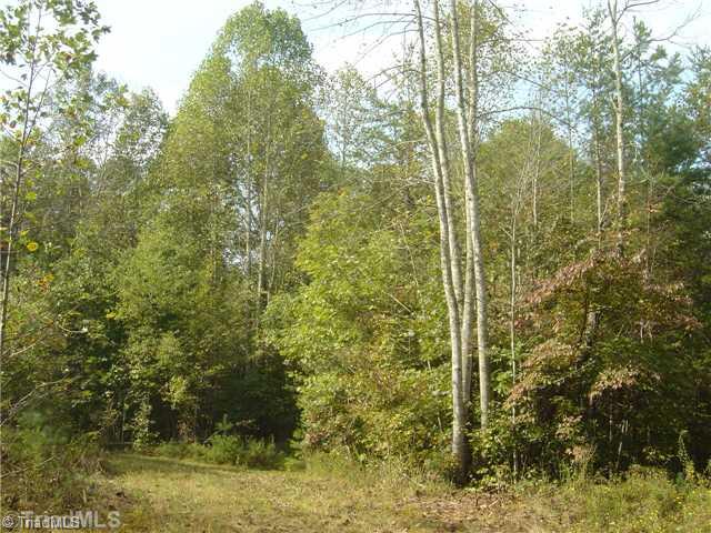 0 Joe Layne Mill Road Elkin, NC 28621 - Photo 4 of 5 Other.