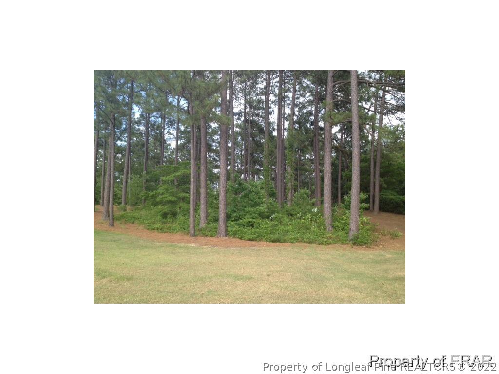 20 Beckett Ridge Pinehurst, NC 28374 - Photo 3 of 5 Gallery Image 3