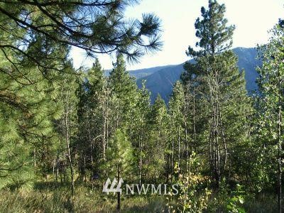 8 Trillium Road Winthrop, WA 98862 - Photo 1 of 1