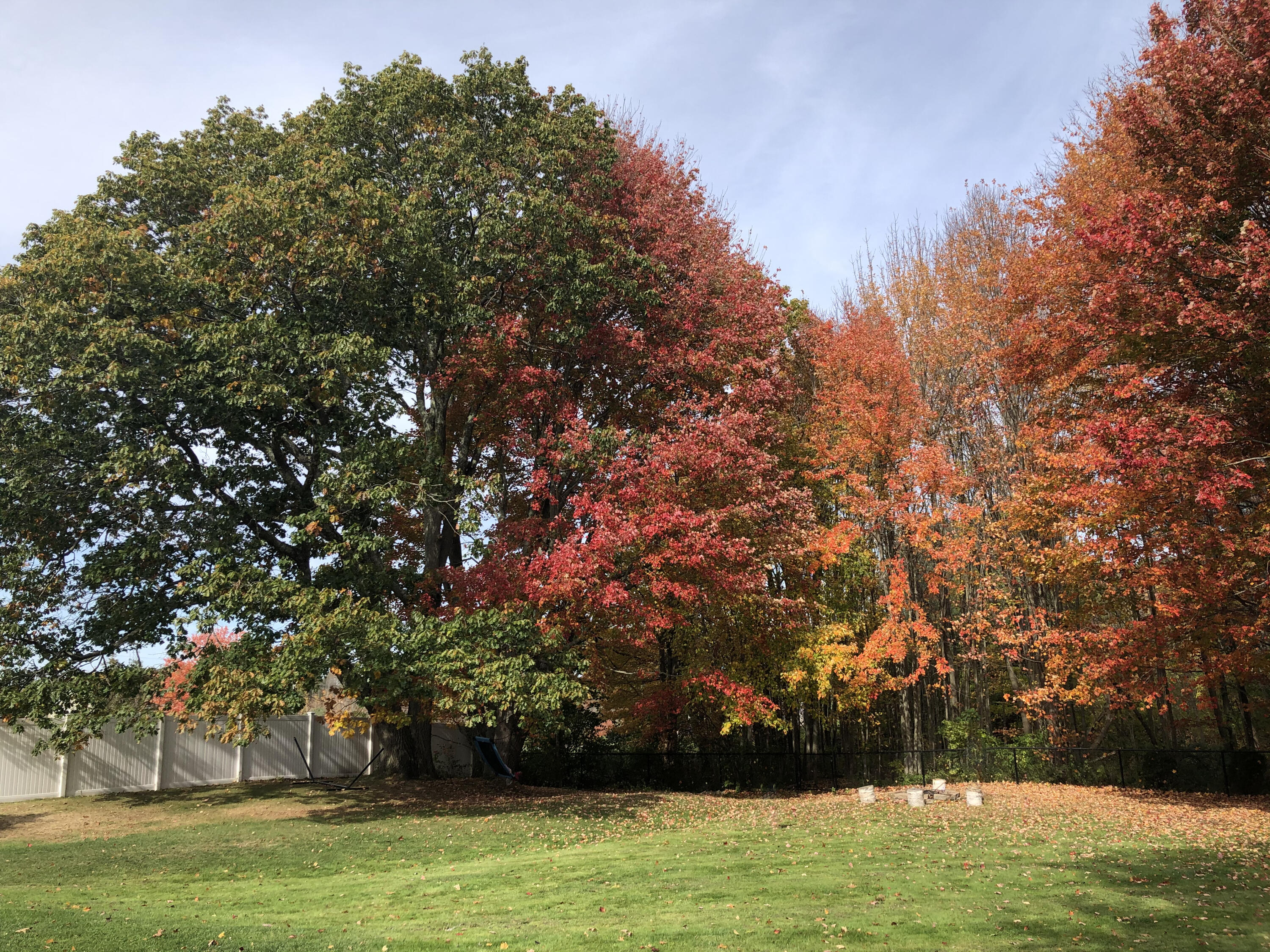 63 Shadagee Road Saco, ME 04072 - Photo 26 of 29 Backyard - fall