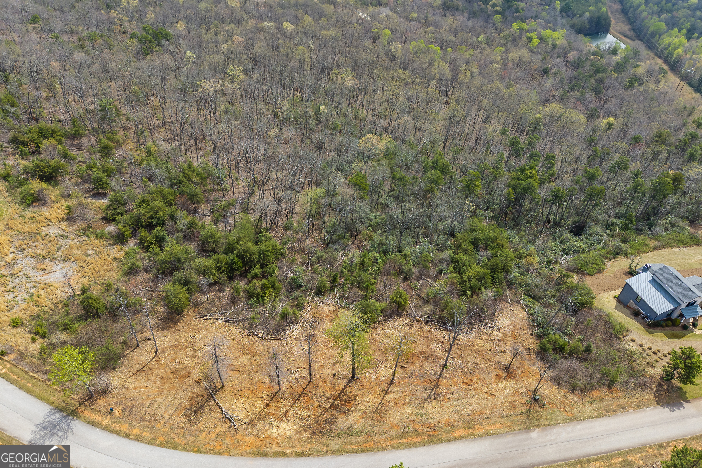 Lot 36 Mountain Ridge Drive Clarkesville, GA 30523 - Photo 33 of 53