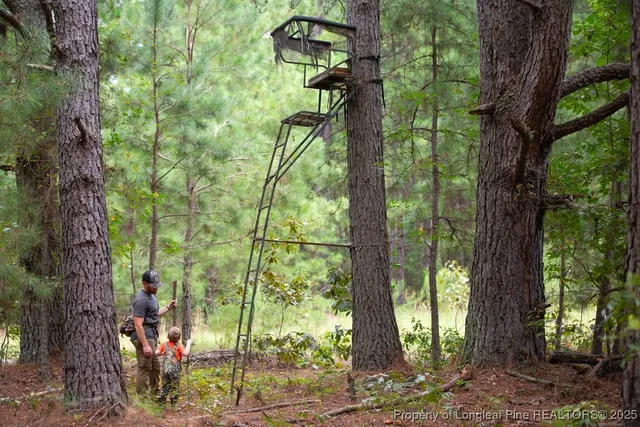 a view of a tree in front of a yard