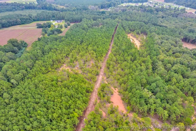 a view of a yard with an outdoor space