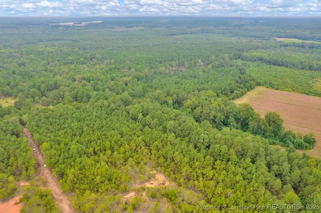 a view of a garden from a balcony