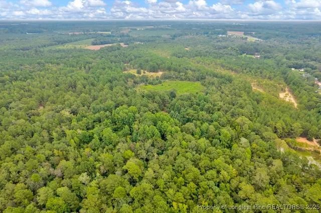 a view of a garden from a balcony