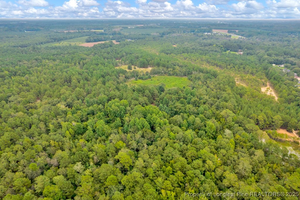 0 Blue Woods Road Laurinburg, NC 28352 - Photo 13 of 40 a view of a field of grass and trees